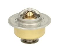Termostato, refrigerante THERMOTEC D2JD006TT