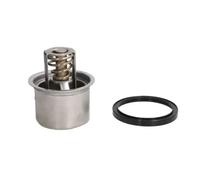 Termostato, refrigerante THERMOTEC D2RV004TT