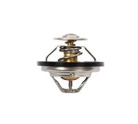 Termostato de agua 88°C para BMW E36 318TDs