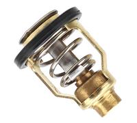 Termostato de motor 67F124110, repuesto apto para F75 F80 F90 | Previene el sobrecalentamiento en motores fueraborda F75 F80 F90 con reemplazo de termostato 67F124110 y fácil instalación