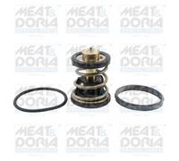 Termostato De Refrigerante Para BMW X3 XDRIV30D XDRIVM40D 5ER Touring