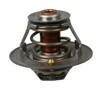 Termostato FT58032 FAST para RENAULT OPEL IVECO