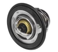 Termostato Motor Para Accord 1990 1991 1992 1993 1994 1995 1996 1997 1998 1999 2000 2001 2002 Conjunto De Carcasa Del Termostato Refrigerante Del Motor Automóvil 19301PLC315