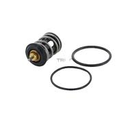 Termostato Refrigerante 105°C TRISCAN Iam-Expertise Apto para U.a. VW Golf