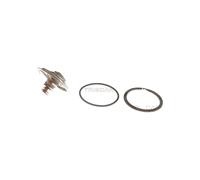Termostato Refrigerante 85°C TRISCAN Iam-Expertise Apto para U.a. BMW 7er