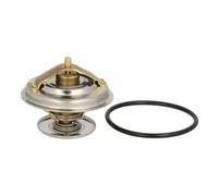 Termostato, refrigerante BorgWarner (Wahler) 4078.65D