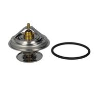 Termostato, refrigerante BorgWarner (Wahler) 4105.79D