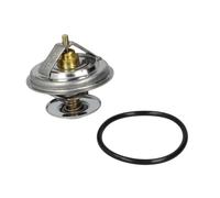Termostato, refrigerante BorgWarner (Wahler) 4105.83D