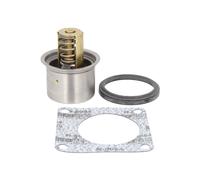 Termostato, refrigerante BorgWarner (Wahler) 411045.82D