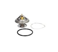 Termostato, refrigerante BorgWarner (Wahler) 4150.83D50