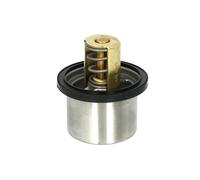 Termostato, refrigerante BorgWarner (Wahler) 4619.82