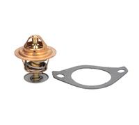 Termostato, refrigerante CALORSTAT BY VERNET TH3357.82J