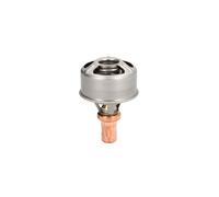 Termostato, refrigerante CALORSTAT BY VERNET TH4495.75