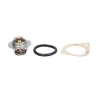 Termostato, refrigerante CALORSTAT BY VERNET TH5977.92J