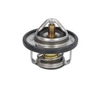 Termostato, refrigerante CALORSTAT BY VERNET TH7184.88J