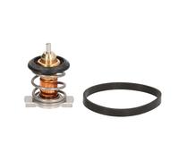 Termostato, refrigerante CALORSTAT BY VERNET TH9241.88J