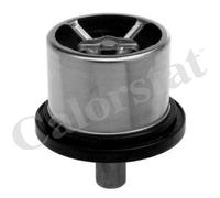 Termostato, refrigerante CALORSTAT BY VERNET THS16957.82