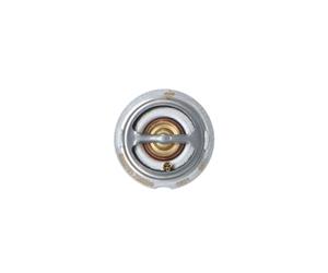 Termostato, refrigerante EASY FIT NRF 725209