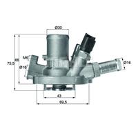 Termostato, refrigerante MAHLE TI 151 80