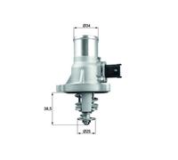 Termostato, refrigerante MAHLE TM 41 105