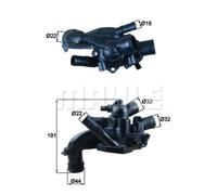 Termostato, refrigerante MAHLE TM 46 105
