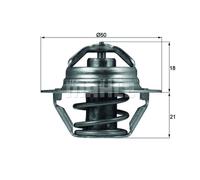Termostato, refrigerante BEHR MAHLE TX 100 89D