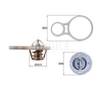 Termostato, refrigerante MAHLE TX 255 91