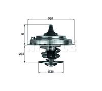 Termostato, refrigerante MAHLE TX 30 92D