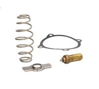 Termostato, refrigerante MAHLE TX 51 79D para IVECO EUROSTAR 10.308 1999-2002