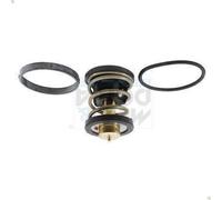 Termostato, refrigerante MEAT & DORIA 92971 para BMW X7 (G07) 3 2019-2020