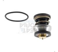 Termostato, refrigerante MEAT & DORIA 92973 para BMW 7 (G11, G12) 3 2015-2020