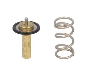 Termostato, refrigerante NRF 725069