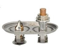Termostato, refrigerante NRF 725393 para SCANIA R I 15.607 2005-2019