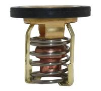 Termostato Refrigerante Para Mercurio Para Marina 200 225 250 | Termostato 300HP 8855991 para fueraborda 8M0057307, reemplazo para Sierra 18-3535 AEF2-885599003 885599004