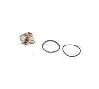 Termostato Refrigerante Separado Carcasa 82°C TRISCAN para U.a. MB Vario