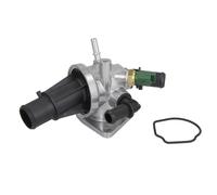 Termostato, refrigerante THERMOTEC D2F009TT