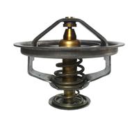 Termostato, refrigerante THERMOTEC D2FE001TT