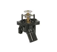 Termostato, refrigerante THERMOTEC D2G015TT