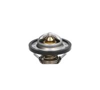 Termostato, refrigerante THERMOTEC D2R001TT