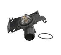 Termostato, refrigerante THERMOTEC D2S002TT