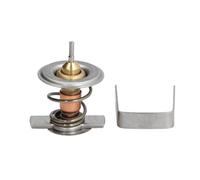 THERMOTEC D2X009TT Termostato, refrigerante