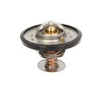 Termostato, refrigerante THERMOTEC D2CA001TT