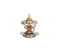 Termostato, refrigerante THERMOTEC D2CL001TT
