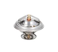 Termostato, refrigerante THERMOTEC D2MF001TT