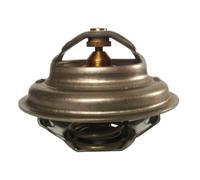 Termostato, refrigerante THERMOTEC D2UR005TT