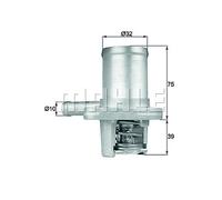 Termostato Renault Clio Kangoo Twingo 1.2 Behr TI4089 OE 7700868980