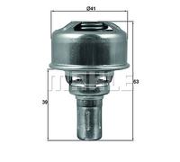 Termostato Renault R19 Clio Rápido Nan Behr TX17486 Vernet TH4495.86
