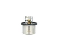 NRF 725431 Termostato, refrigerante