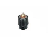 Termostato TH598105 GATES para AUDI VW SEAT SKODA