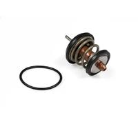 Termostato TM1003 HEPU para VW SEAT SKODA AUDI